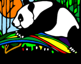 Desenho Urso panda a comer pintado por Augusto