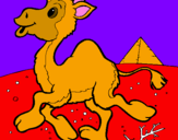 Desenho Camelo pintado por tiago