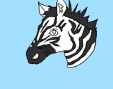 Desenho Zebra II pintado por ju