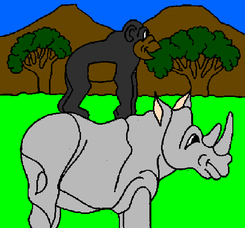 Rinoceronte e gracioso