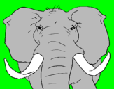 Desenho Elefante africano pintado por miguel  victor  souza