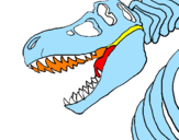 Desenho Esqueleto tiranossauro rex pintado por debi