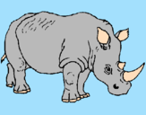 Desenho Rinoceronte pintado por dani
