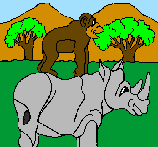 Rinoceronte e gracioso