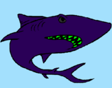 Desenho Tubarão pintado por wilford