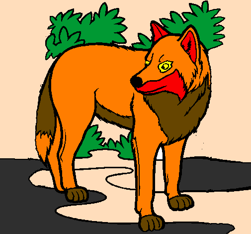 Desenho de Lobo para Colorir - Colorir.com