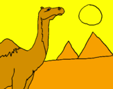 Desenho Camelo pintado por flavia 1
