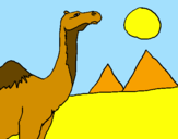 Desenho Camelo pintado por MARA