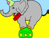 Desenho Elefante em cima de uma bola pintado por valentina