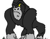 Desenho Gorila pintado por Lucas