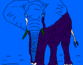 Desenho Elefante pintado por pedro henrique brum