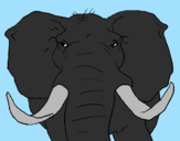 Desenho Elefante africano pintado por lucas f