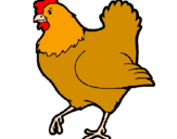Desenho Galinha pintado por galinha caipira