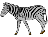 Desenho Zebra pintado por Murilo