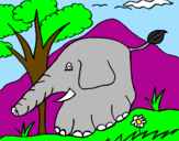 Desenho Elefante pintado por Candy