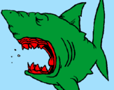 Desenho Tubarão pintado por gabriel