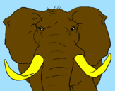 Desenho Elefante africano pintado por mateus 4m