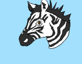 Desenho Zebra II pintado por ThaiseJake