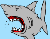 Desenho Tubarão pintado por kaique