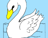 Desenho Cisne pintado por Sabrina