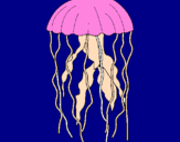 Desenho Medusa pintado por joao