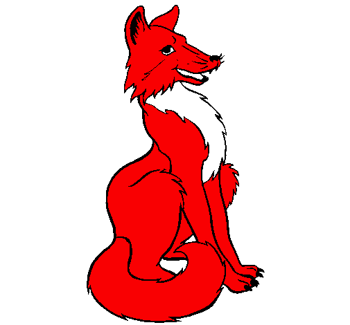 Desenho de raposa vermelha