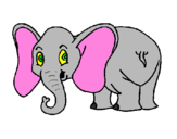 Desenho Elefante pequeno pintado por sofia