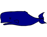 Desenho Baleia azul pintado por anónimo