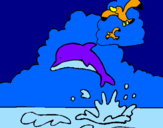 Desenho Golfinho e gaviota pintado por miss cat*