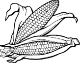 Desenho Espiga de milho  pintado por jj