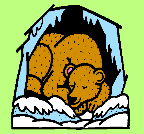 Urso a hibernar