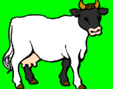 Desenho Vaca pintado por Rosecleu