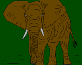 Desenho Elefante pintado por maria fer
