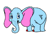 Desenho Elefante pequeno pintado por Matheus
