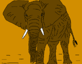 Desenho Elefante pintado por marcos eduardo