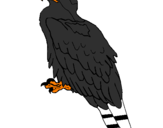Desenho Águia pintado por cavalero negro 