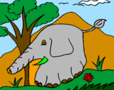 Desenho Elefante pintado por joão vitor a
