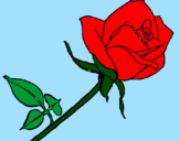 Desenho Rosa pintado por beatriz