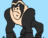 Desenho Gorila pintado por CESAR