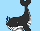 Desenho Pequena baleia pintado por garu