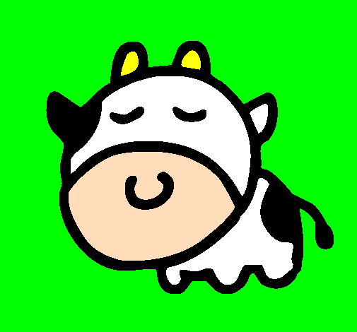 Vaca cabeçuda