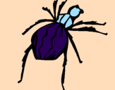Desenho Aranha viúva negra pintado por Allana