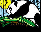 Desenho Urso panda a comer pintado por rute