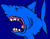 Desenho Tubarão pintado por gabriel gomes