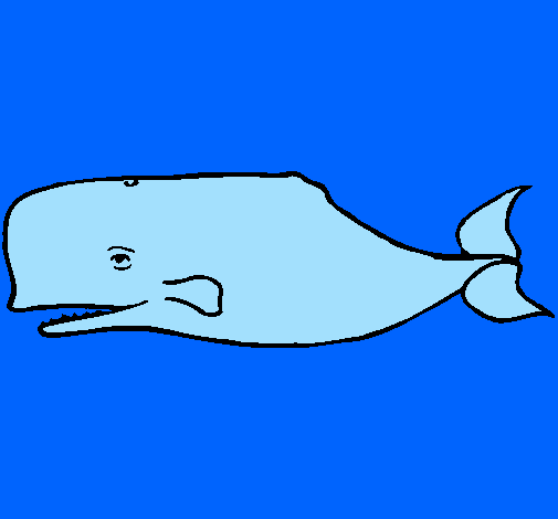 Baleia azul