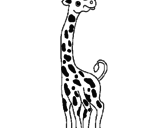 Desenho Girafa pintado por ddd