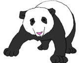Desenho Urso panda pintado por Bibi