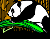 Desenho Urso panda a comer pintado por matheus
