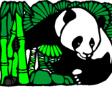 Desenho Urso panda e bambu pintado por maria fer