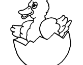 Desenho Patito na casca de ovo pintado por carla